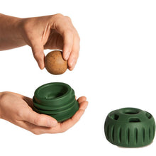 Load image into Gallery viewer, Woof Pet Pupsicle Green X Large