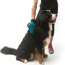 Load image into Gallery viewer, Messy Mutt Reversible Silicone Pet Grooming Glove