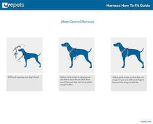 Load image into Gallery viewer, RC Pet Moto Control Harness Goji Berry