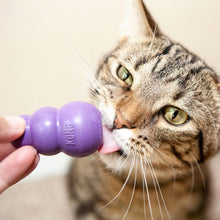 Load image into Gallery viewer, Kong Kitty Kong