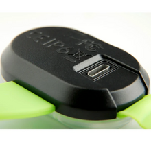 Load image into Gallery viewer, Max & Molly Ultra LED Lime Light