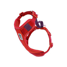 Load image into Gallery viewer, RC Pet Moto Control Harness Goji Berry