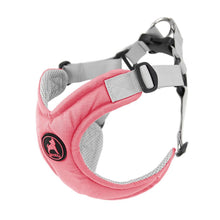 Load image into Gallery viewer, Gooby Memory Foam Harness Pink
