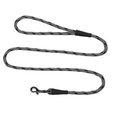 Load image into Gallery viewer, Mendota Snap Leash  Ice Silver