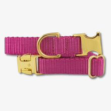 Load image into Gallery viewer, Berry Dog Collar