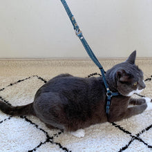 Load image into Gallery viewer, Zen Fish Charm Cat Harness &amp; Leash Set