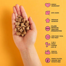Load image into Gallery viewer, Snaggletooth Teeny Tiny Freeze Dried Raw Beef Liver