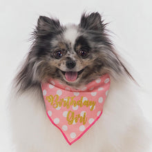 Load image into Gallery viewer, Birthday Girl Bandana