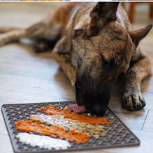 Load image into Gallery viewer, Silicone Therapeutic Dog Licking Mat, Large