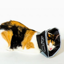 Load image into Gallery viewer, Comfy Cone