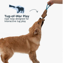 Load image into Gallery viewer, Tall Tails Natural Leather Trout Tug 16"