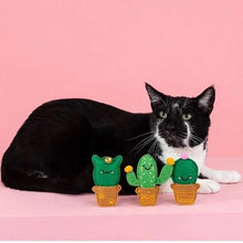 Load image into Gallery viewer, Fringe Cat-Us Friends  Cat Toys