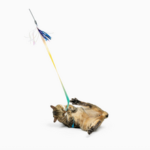 Load image into Gallery viewer, Cat Wand Dance &amp; Lure Aqua