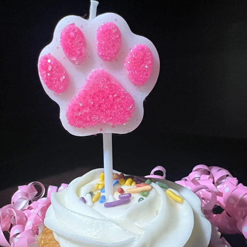 Dog Birthday Party  Paw  Candle