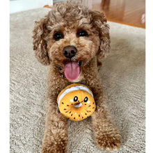 Load image into Gallery viewer, Territory Bagel Hide-And-Treat