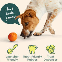 Load image into Gallery viewer, Woof forager flyball single