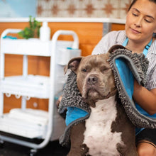 Load image into Gallery viewer, Microfiber Door Mat &amp; Towel with Hand Pockets