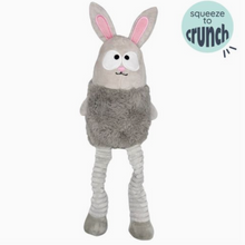 Load image into Gallery viewer, Lankies Binky Bunny