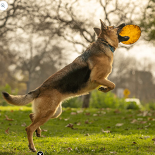Load image into Gallery viewer, Dogginstix Beef Collagen UFO