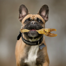 Load image into Gallery viewer, Dogginstix Lamb Feet