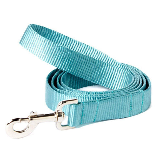 Mimi Green Nylon Webbing  Leash Teal