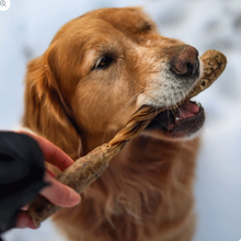 Load image into Gallery viewer, Dogginstix Lamb collagen barbell
