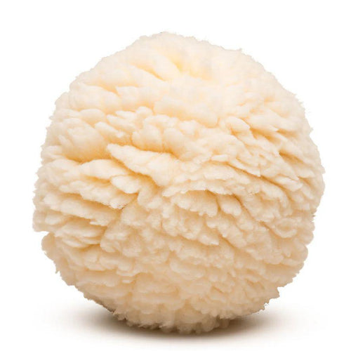 Plush Ball Dog toy