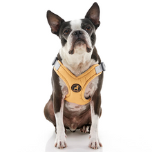 Load image into Gallery viewer, Gooby Memory Foam Harness Yellow