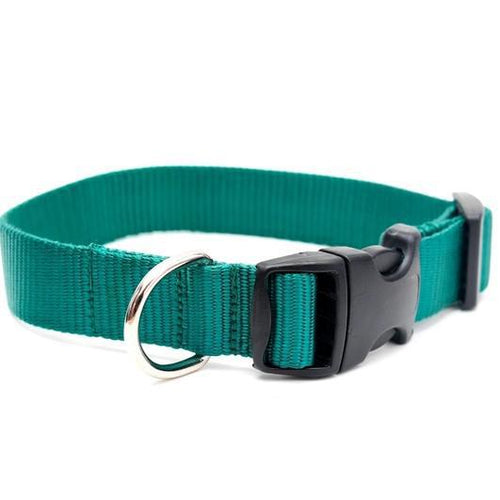 Mimi Green Nylon Webbing Dog Collars  Forest Green