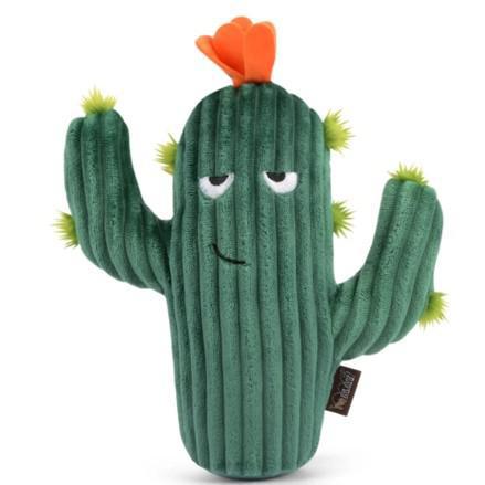 Blooming Buddies Prickly Pup Cactus