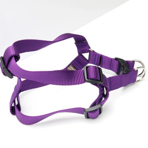 Mimi Green Nylon Webbing Harness  Purple