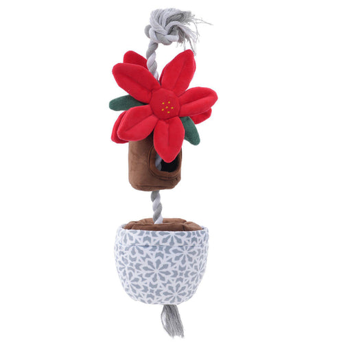 Holiday Poinsettia 16