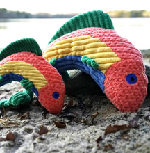 Load image into Gallery viewer, Hugglehounds Knotties Rainbow Trout Small