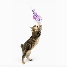 Load image into Gallery viewer, Dragonfly Streamers 2pk Refill Cat Toy