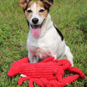 Tall Tails Crunch Lobster