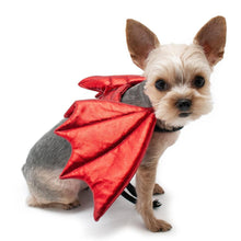 Load image into Gallery viewer, Dragon Wings