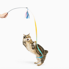 Load image into Gallery viewer, Cat Wand Dance &amp; Lure Aqua