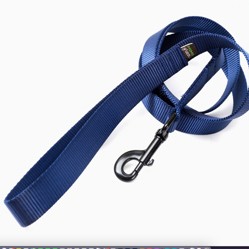 Mimi Green Nylon Webbing  Leash  Navy