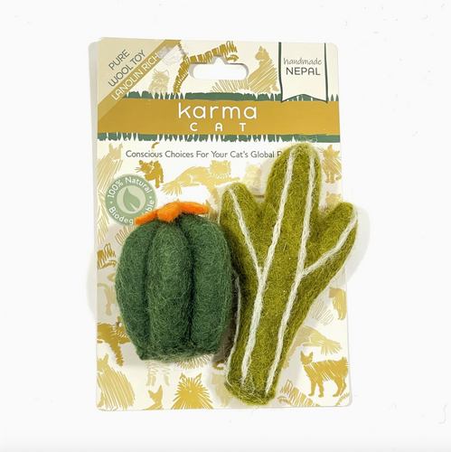 Pure Wool Succulents Pack of 2