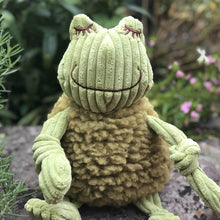 Load image into Gallery viewer, Hugglehounds Fiona the frog