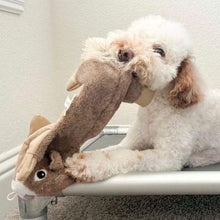 Load image into Gallery viewer, Tall Tails Stuffless Squirrel Squeaker