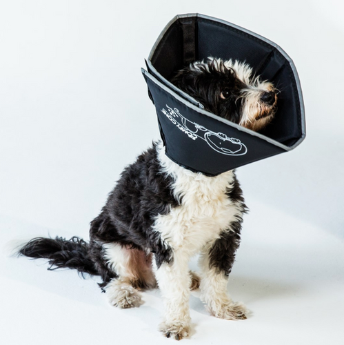 Comfy Cone
