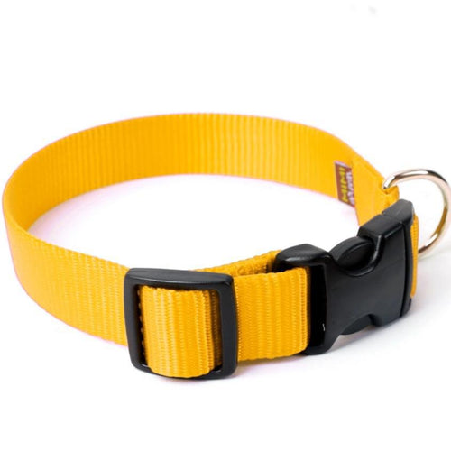 Mimi Green Nylon Webbing Dog Collars Yellow