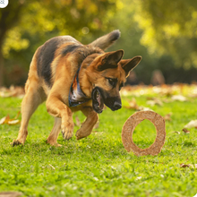 Load image into Gallery viewer, Dogginstix Lamb collagen cosmic donut