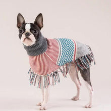 Load image into Gallery viewer, Muted Strings Alpaca Dog Poncho