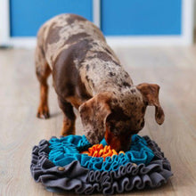 Load image into Gallery viewer, Messy Mutts Square Forage  Snuffle Mat