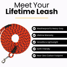 Load image into Gallery viewer, Standard Clip Leash 6ft