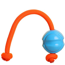 Load image into Gallery viewer, Fetchables Fetch-n-Tug Ball - Blue