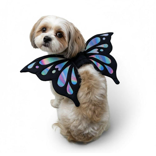 Butterfly  Wings