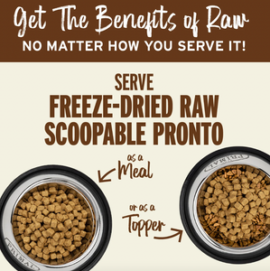 Primal Pronto Dog Freeze-Dried Lamb
